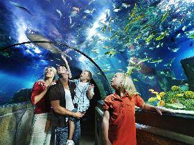Insgesamt betreibt die Merlin Entertainments plc acht SEA LIFE Aquarien in Deutschland.