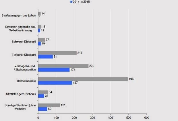 Zuwanderer Fallzahlen nach Deliktgruppen