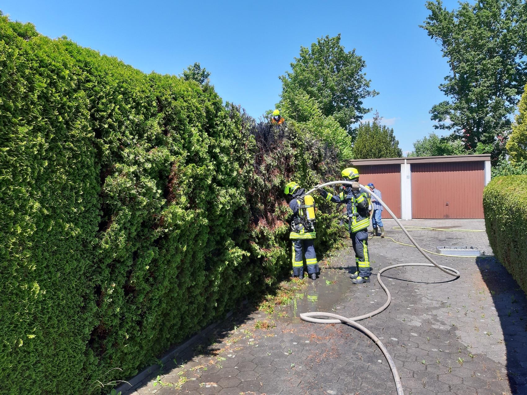 Brand Hecke Lauingen