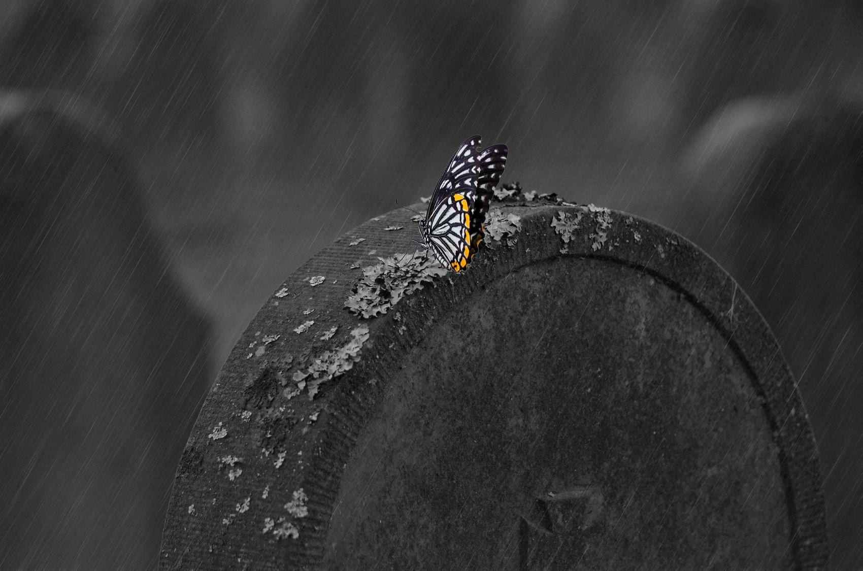 Grabstein Schmetterling