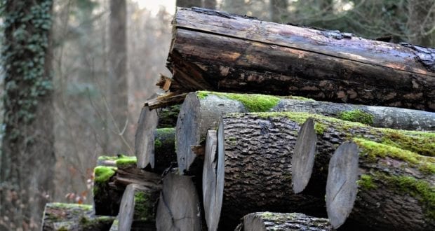 Holz aufgeschichtet Holzstapel