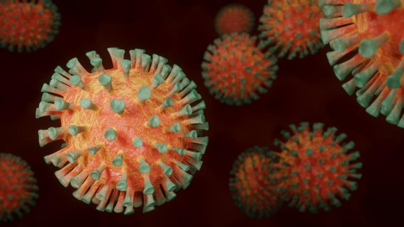 Corona Virus