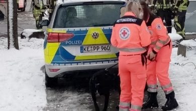 Hund gerettet Guenzburg Feuerwehr 26012021 1