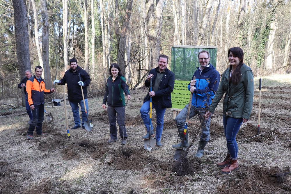 Pflanzaktion in Illerberg