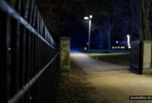 KI-generiertes Symbolfoto zu Gewaltdelikt / Tötungsdelikt (Verdacht) bei Mallersdorf-Pfaffenberg, Landkreis Straubing-Bogen