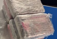 Beitragsbild zu Passau: Sechs Kilogramm Kokain bei Verkehrskontrolle auf der A3 entdeckt