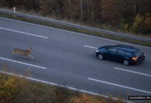 KI-generiertes Symbolfoto zu Verkehrssicherheitshinweis / Prävention bei Oberbayern Nord