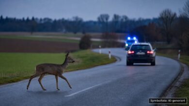 KI-generiertes Symbolfoto zu Verkehrsunfall (Wildunfall) bei Marxheim